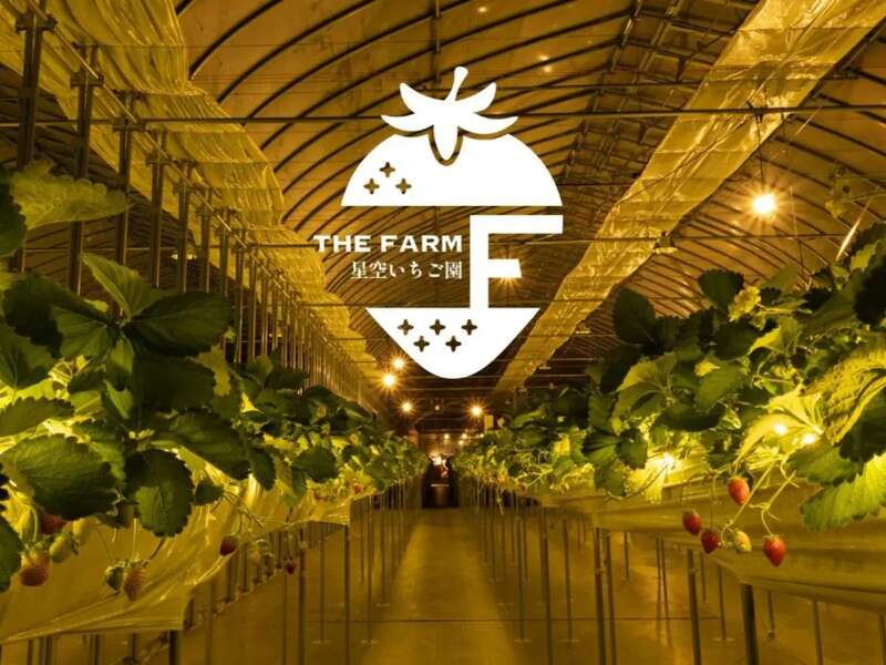 【神奈川県内・町田発】 ☆.。.:キラキラ「THE FARM星空いちご園」の「夜のいちご狩り」へ♬ 人気上昇中！水の郷「佐原」スイーツ食べ歩き☆.。.: 日帰り2