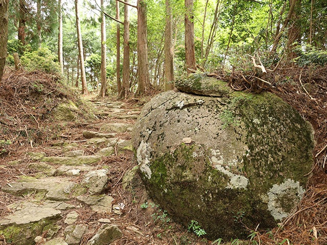 【名古屋発】■２０２６年１０月３日（土）■（相部屋）熊野古道中辺路最大の難所「大雲取・小雲取越」　１泊２日　♪名鉄の泊りハイキング3