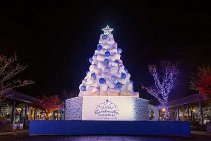 【博多発】 有田・伊万里ダブルクリスマス・スペシャル★やきものの町で楽しむ、クリスマスの夜　日帰り　