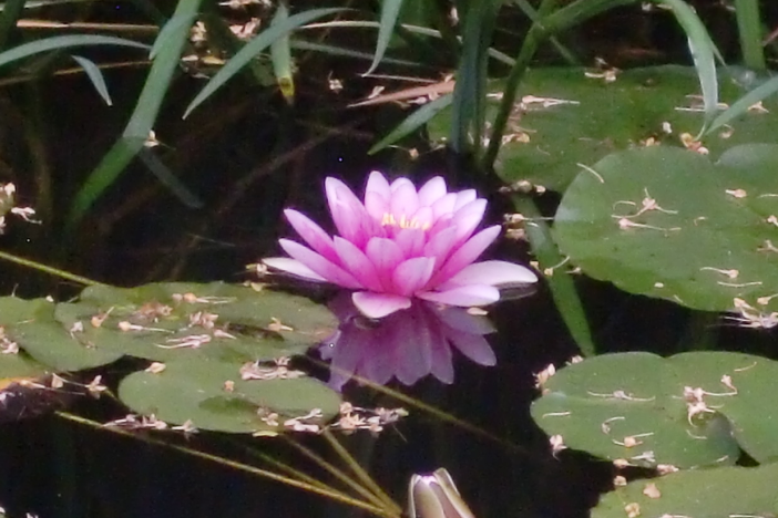 【宇都宮・佐野発着】非日常を楽しむ美術館鑑賞と特別列車ランチ2
