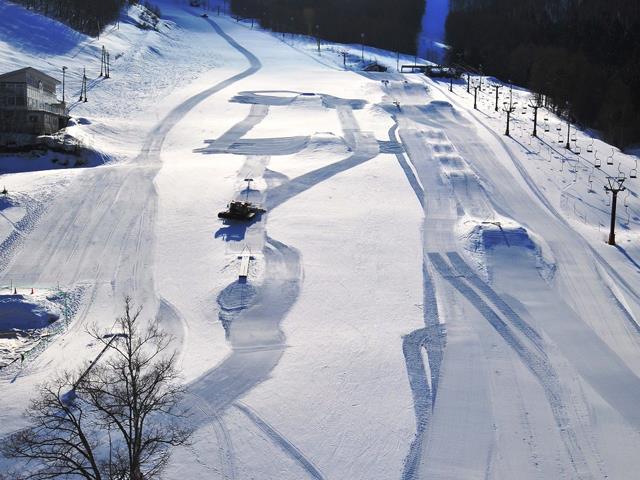 ■●夜発バス　竜王スキーパーク　日帰りプラン　リフト券＆レンタル付1