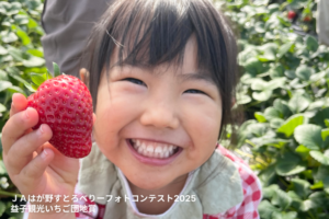 【宇都宮発着】春のお出かけ！益子陶器市といちご狩り体験3