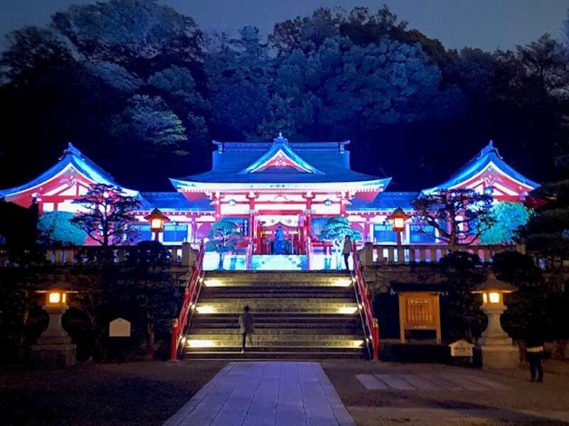 【福島県内発】 あしかがフラワーパーク「光の花の庭」と 果実畑の隠れ家ビュッフェ（日帰り）2