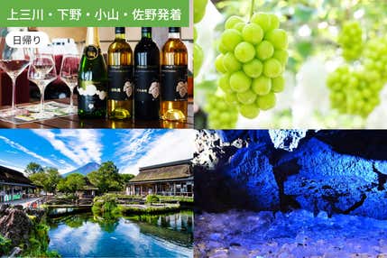 【上三川・下野・小山・佐野発着】富士の奇跡に出会う旅！忍野八海・氷穴探検・シャインマスカット食べ放題