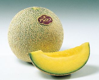 【金沢駅発】 丹波フルーツフラワーフェスティバル　さくらんぼ＆メロン2種食べ放題と初夏の花景色　日帰り3