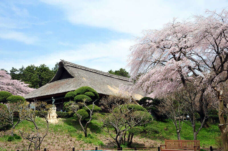 【埼玉県内発】 春らんまんミステリーツアー　日帰り1