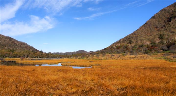 ＜新宿発・西船橋発＞ 日本百名山・錦秋の赤城山　湖上に広がる絶景の紅葉 と 小尾瀬と呼ばれる高層湿原・覚満淵の木道トレッキング　そして、縁結びのパワースポット・赤城神社　～群馬名物！「特製・まいたけ弁当」付き～2