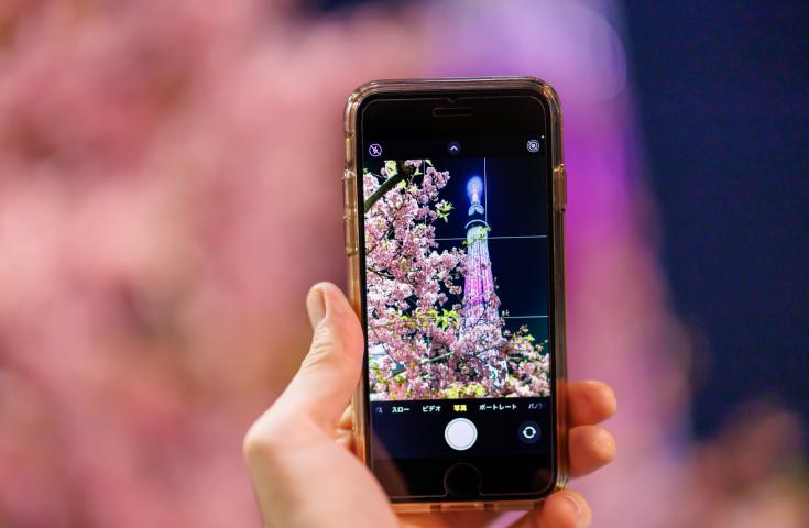 夜桜deナイト☆TOKYOお花見バス☆オープントップバスで桜の名所をハイライトで巡る車窓観光ショートトリップ！(17:50出発)2