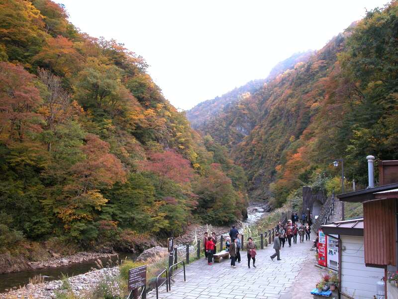 【千葉県内発】 紅葉に染まる晩秋の越後～清津峡・美人林・長岡もみじ園・松雲山荘ライトアップ～２日間2