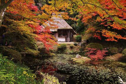 【出雲・斐川・松江発】「吉水園」 秋の一般公開と備北紅葉めぐり 日帰り