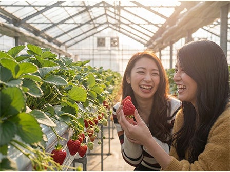 中部発　日帰り　西浦園地と三井アウトレットパーク岡崎！2