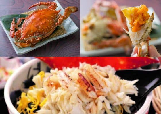 【バスハイク／福岡天神発着】添乗員同行 有明海のめぐみ「竹崎カニ」を食す！グルメとフォトジェニックの佐賀紀行～国内唯一のバルーンミュージアム・有明海に建つ大魚神社・肥前浜宿の酒蔵で伝統の味～1