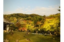 【木曽川・一宮発】＊日帰り夕食付＊『東寺五重塔初層特別拝観と高台寺ライトアップ』2