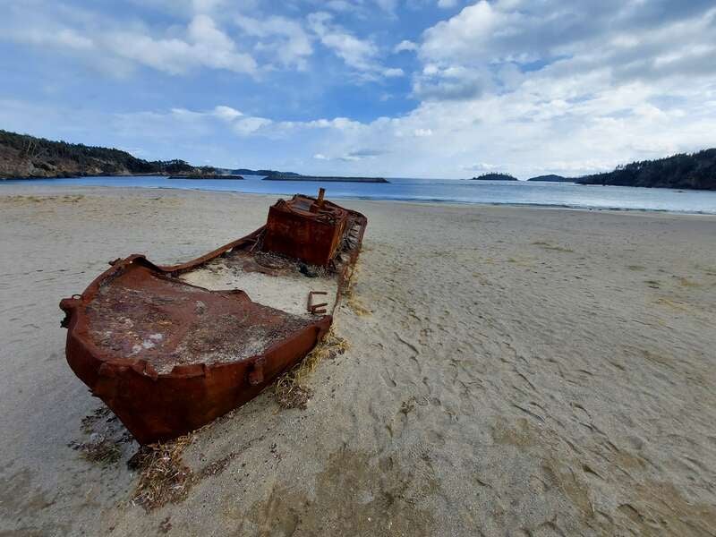 【福島県内発】 岩手県政150周年記念パレードと蒸し牡蠣・お刺身あわび・煮あわび付！三陸わかめしゃぶしゃぶ食べ放題膳 2日間2