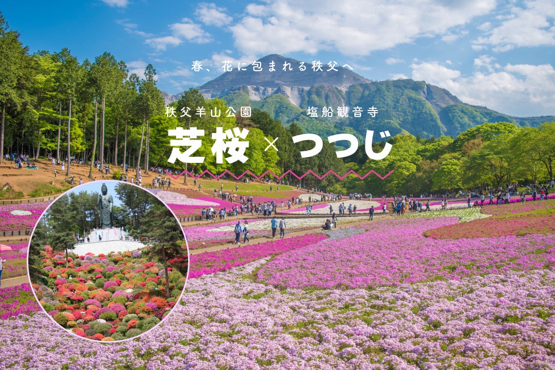 秩父羊山公園の芝桜と“花の寺”塩船観音のつつじ鑑賞ツアー1