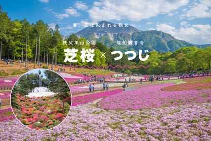 秩父羊山公園の芝桜と“花の寺”塩船観音のつつじ鑑賞ツアー