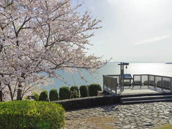 中部発　日帰り　西浦園地と三井アウトレットパーク岡崎！