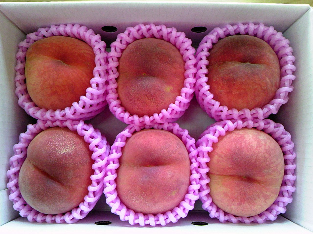 【宮城県内発】 高級白桃1箱付！福島の白桃狩り食べ放題とあだたら山空中散歩（日帰り）3