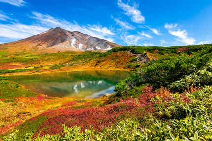 【伊丹空港発着】 感動の北海道　大雪山紅葉～旭岳・黒岳・銀泉台～4日間