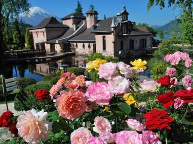 ■【山梨】初夏のキラメク休日♪～バラの庭園巡り～絶景のローズガーデン・「河口湖 音楽と森の美術館」＆バラの花咲くハーブ庭園散策♪さらに！大人気「桔梗信玄餅詰め放題」体験