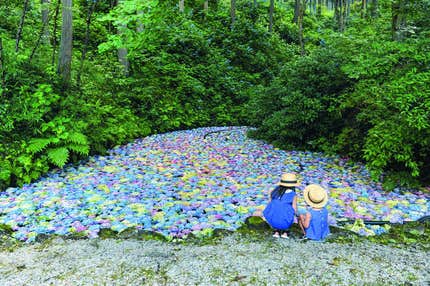 【宮城県内発】 夏の60のおもてなしミステリー（日帰り）