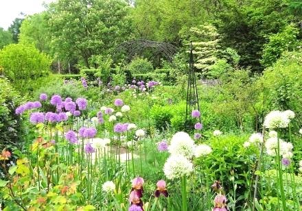 ＜Web割対象商品＞【キングツアーバス旅】本格英国庭園で過ごす一日　蓼科高原バラクライングリッシュガーデン英国園芸の祭典「35th蓼科バラクラフラワーショー」〔新宿・明大前発〕1