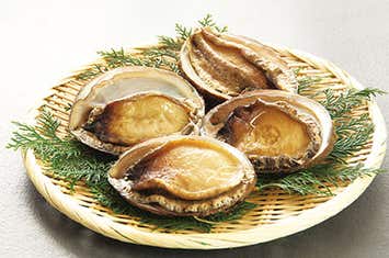 【1名様1室プラン】日本遺産壱岐島に2連泊！　壱岐牛とあわびを食す10景を巡る壱岐大周遊の旅3日間