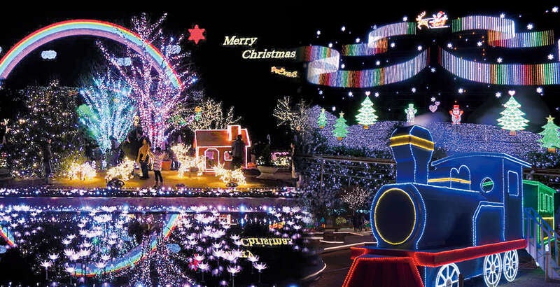 【千葉県内発】 あしかがフラワーパーク光の花の庭イルミネーションと足利織姫神社ライトアップ・ 地元で人気レストランTSUMIKI　日帰り1