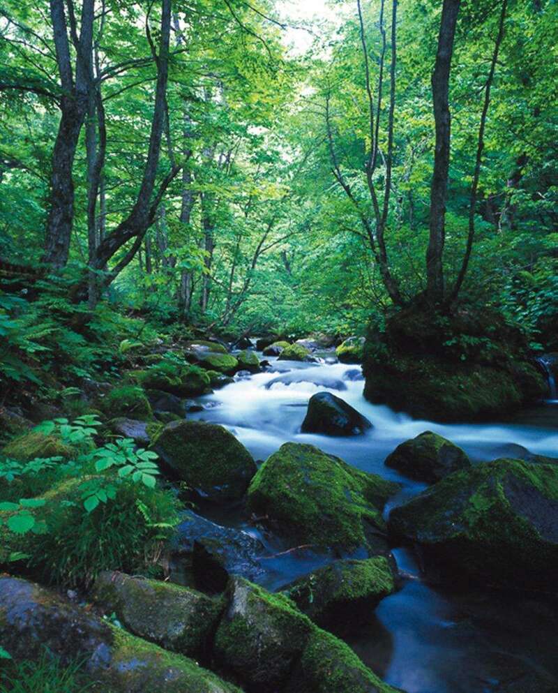 【伊丹空港発着】 東北5県（岩手・青森・秋田・宮城・山形）きらめき11景パノラマルート　4日間1