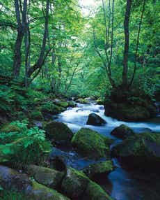 【伊丹空港発着】 東北5県（岩手・青森・秋田・宮城・山形）きらめき11景パノラマルート　4日間