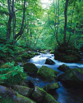 【伊丹空港発着】 東北5県（岩手・青森・秋田・宮城・山形）きらめき11景パノラマルート　4日間