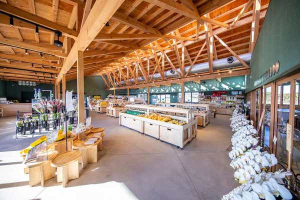 【神奈川県内・町田発】 旬の松茸＆海の高級食材「イセエビ・アワビ・ズワイガニ」の炭火焼き海鮮BBQ食べ放題と南房総道の駅めぐり日帰り3