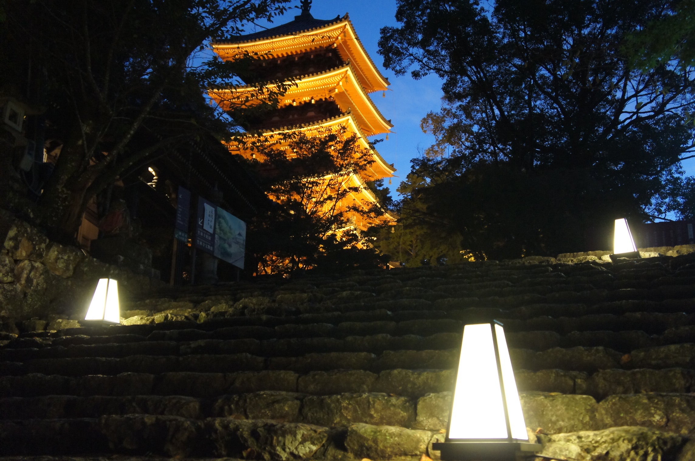 【Ａ/新山口・徳山発】 牧野植物園（南園）夜間貸切・竹林寺ライトアップと土佐の休日 ２日間1