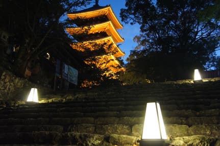 【A/新山口・徳山発】 牧野植物園(南園)夜間貸切・竹林寺ライトアップと土佐の休日 2日間