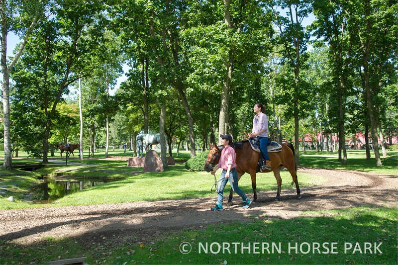 【伊丹空港発着】 釧路川カヌー・乗馬又は馬車・係留熱気球　３つの非日常体験！北海道感動大地４日間2