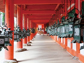「関西の迎賓館」奈良ホテルで選べるランチと奈良の世界遺産を巡る1