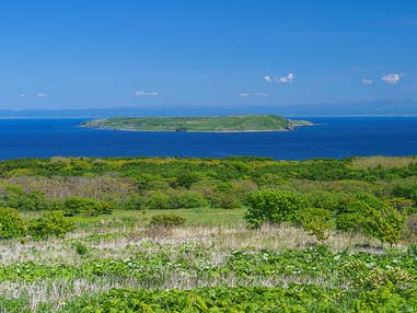 【名古屋発】■２０２６年７月７日（火）■太古の原生の森「焼尻島」と海鳥の聖域「天売島」　２泊３日　♪名鉄の泊りハイキング
