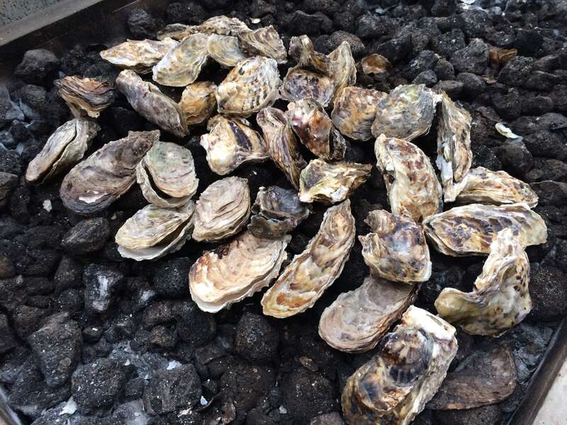 【新大阪・梅田発】三重・浦村 養殖場直営のカキ小屋で食す！焼きカキ＆蒸しカキ＆カキ汁 ３つの食べ放題と伊勢神宮内宮　日帰り2