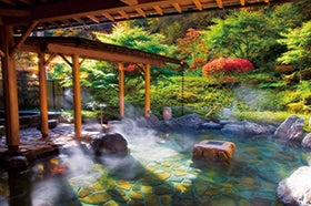 加古川・明石・三宮　発
№1823 山野草の宿二人静と花の南信州1