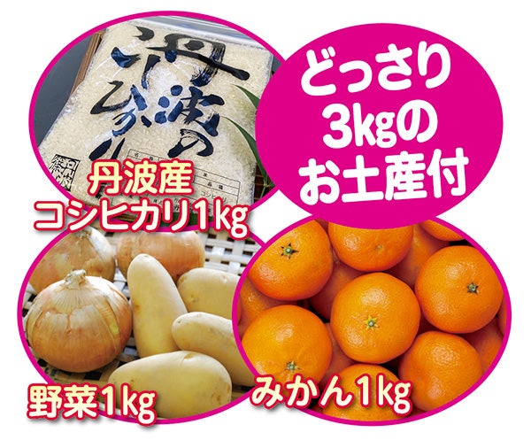 ＜兵庫＞丹波篠山 本格ボタン鍋＆宙に浮かぶいちご狩り体験　どっさり3㎏のお土産付【垂水・名谷・西鈴蘭台出発】3
