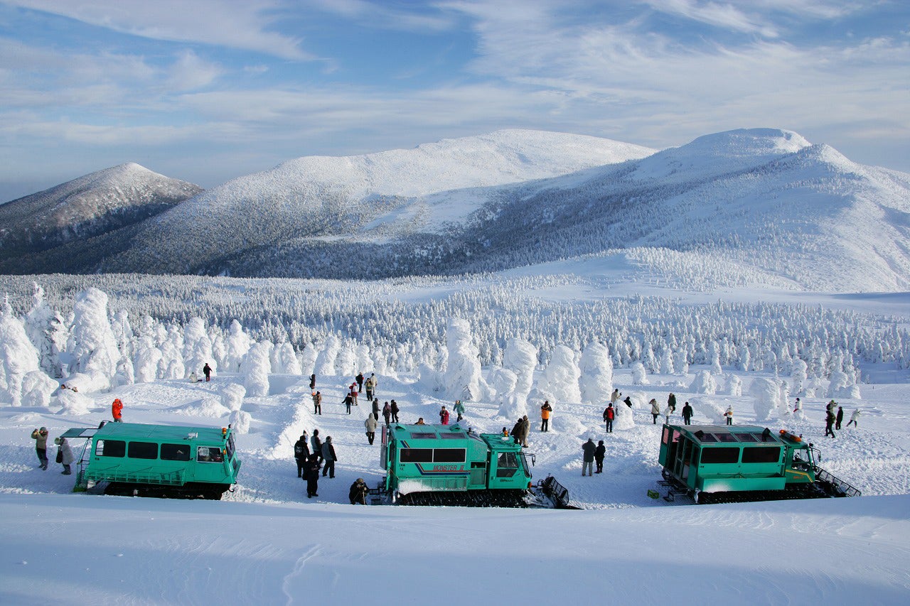 【仙台エリア発】 冬の絶景！雪上車「ワイルドモンスター」でしか行けない蔵王の樹氷鑑賞と 冬に咲く桜！？おおがわら桜イルミネーション1