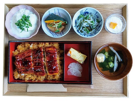 中部発　日帰り　知る人ぞ知る　梅の穴場スポット　美味うなぎと三重うめ巡り！3