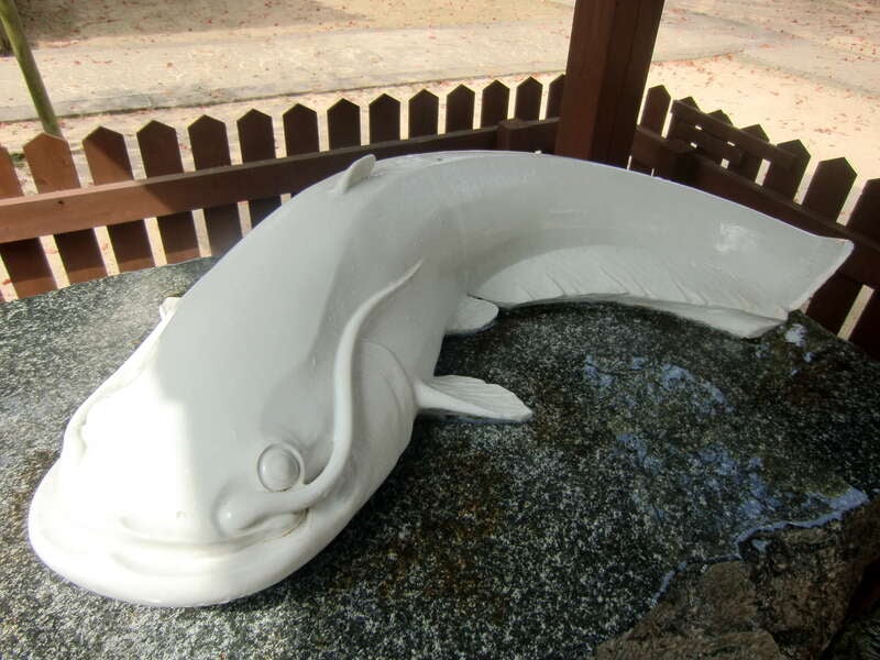 【柳川・みやま・羽犬塚・西鉄久留米発】 希少品種天使のいちご＆いちごさんのお土産付き！３つの白をテーマにしたおもしろバスツアーin佐賀 日帰り2