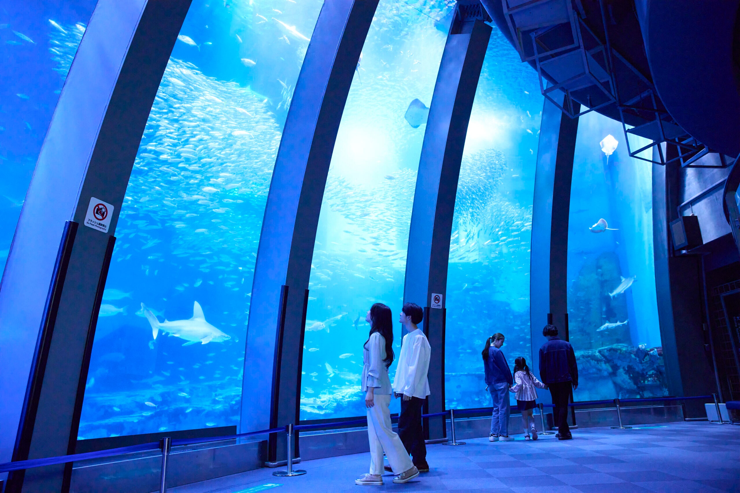 【八千代台発】夏休みテーマパークめぐりよこはま動物園ズーラシア＆八景島シーパラダイス＜コースNo.26-1048-C＞（京成トラベル）2