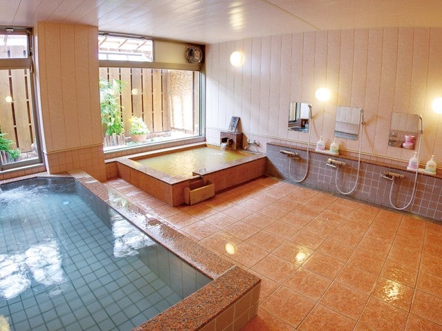 ■●【リフト券なし】朝発バス　苗場　三国峠温泉 三国屋旅館（1泊2日）1