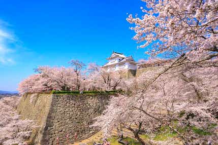 【JR福山駅発】観光列車「SAKU美SAKU楽」に乗車♪津山鶴山公園の桜　日帰り