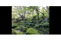 【西尾発】＊日帰り昼食付＊『教林坊特別公開と老舗酒造　信楽松茸会席』1