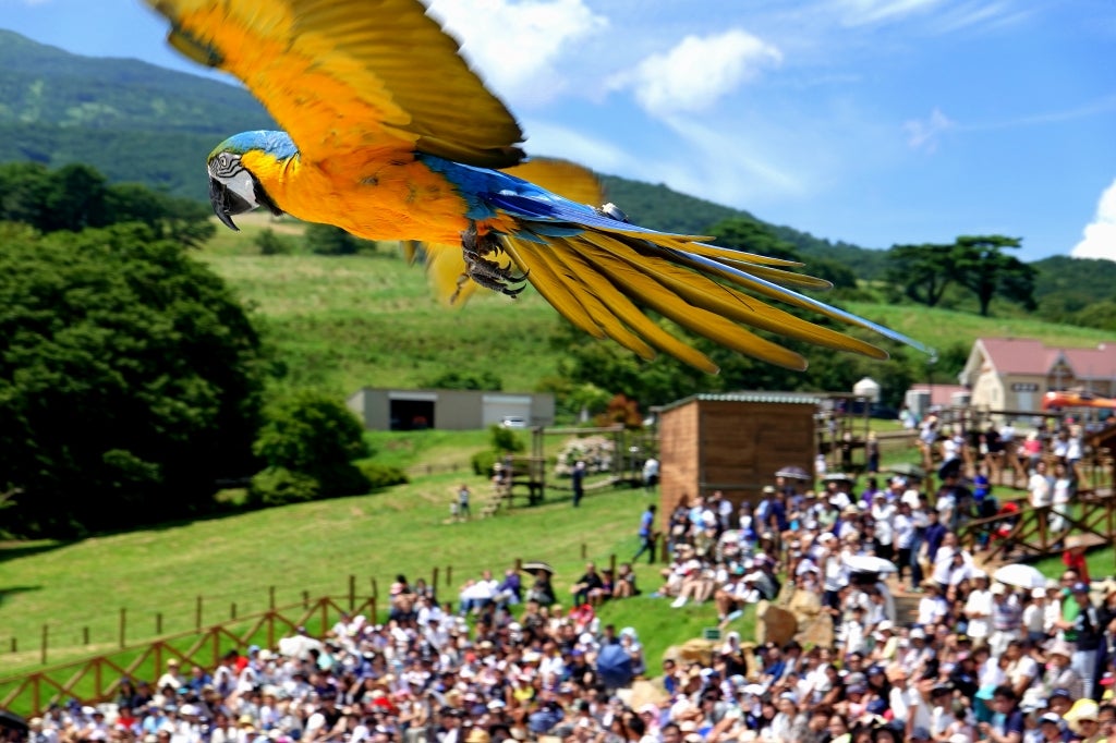 【東京駅・上野駅・大宮駅発】 往復新幹線利用！1,200円分金券付！春休み！那須どうぶつ王国！ 往復ロープウェイ利用！雪解けの百名山！茶臼岳 標高1,900ｍに広がる銀世界と春の訪れ1