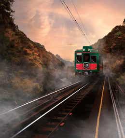 【京滋エリア発】 山岳列車こうや花鉄道「天空」＆ケーブルカー利用！世界遺産「高野山」奥之院めぐり　日帰り