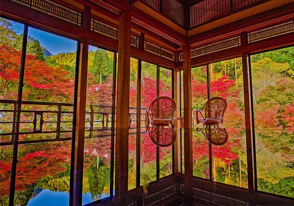 環境芸術の森と雷山千如寺と海の紅葉シチメンソウとおんくり唐津山海味覚ランチ2
